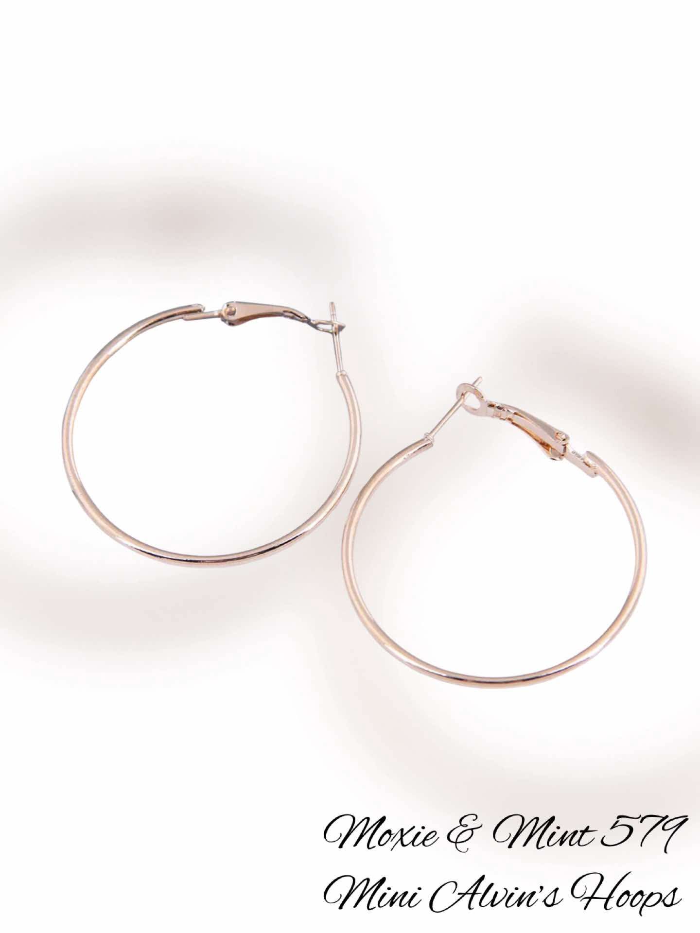 E628-5 Mini Alvin’s Hoops