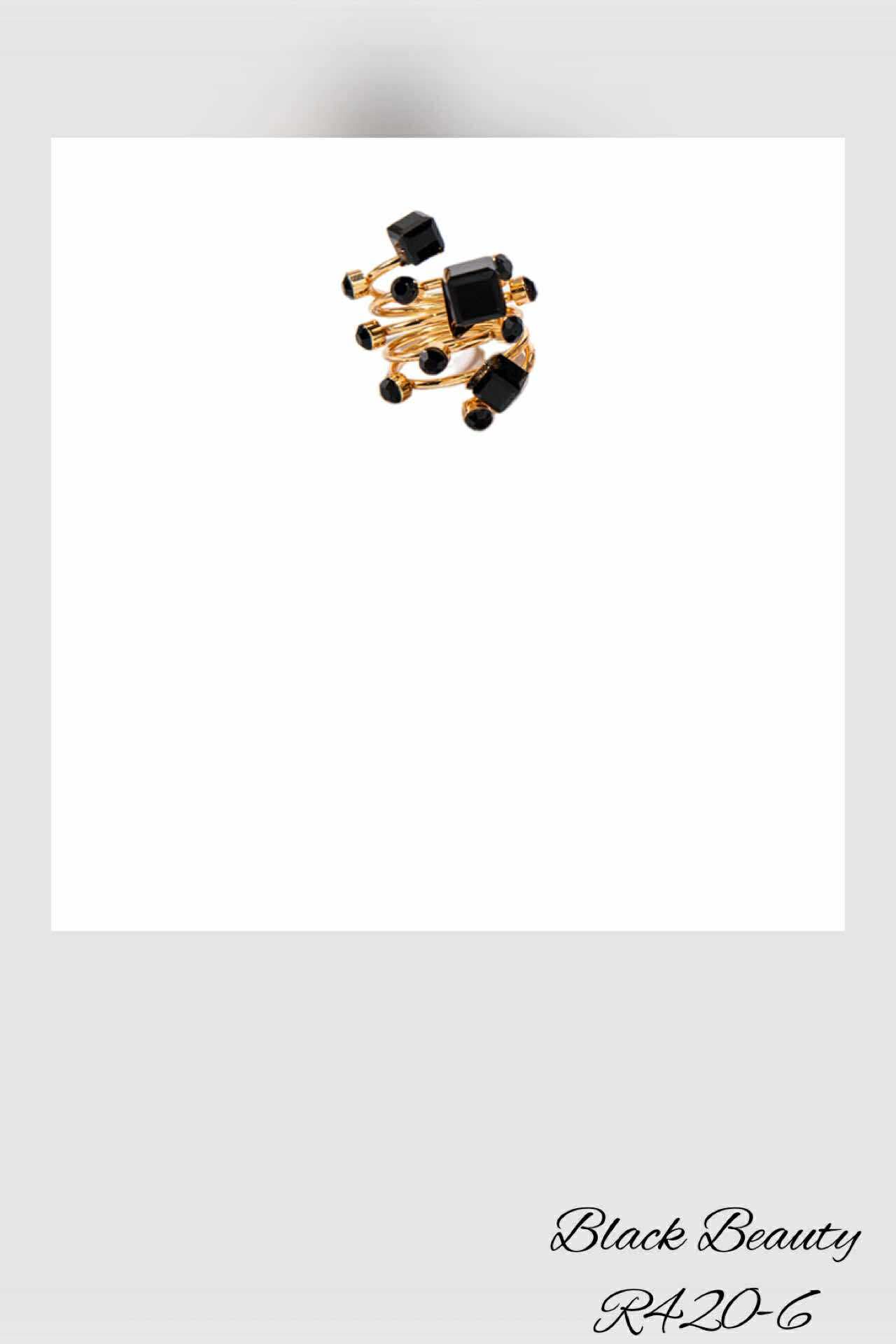 R420-6 Black Beauty