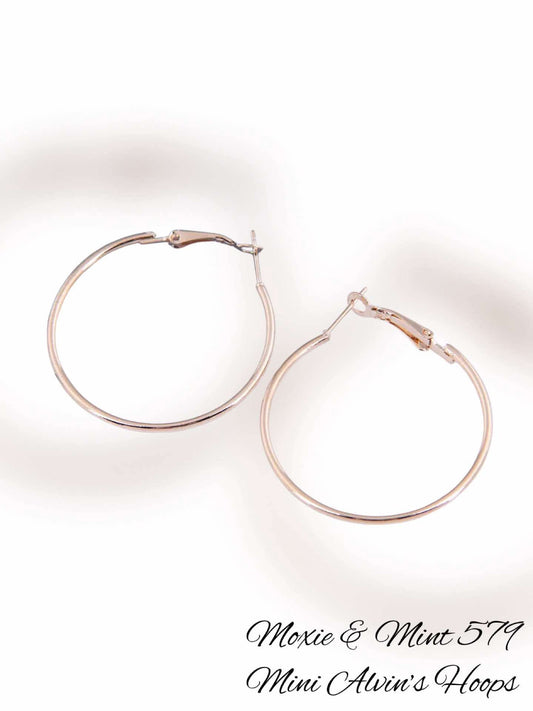 E628-5 Mini Alvin’s Hoops