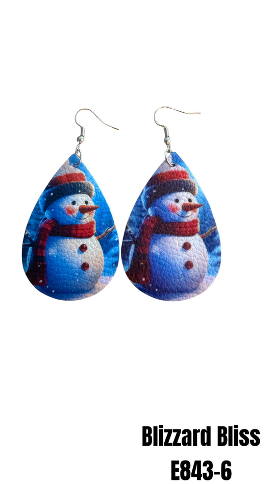 E843-6 Blizzard Bliss